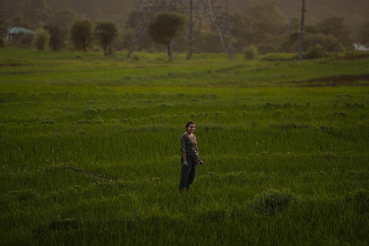 Homestay Zostel Homes Harabhag, Jogindernagar