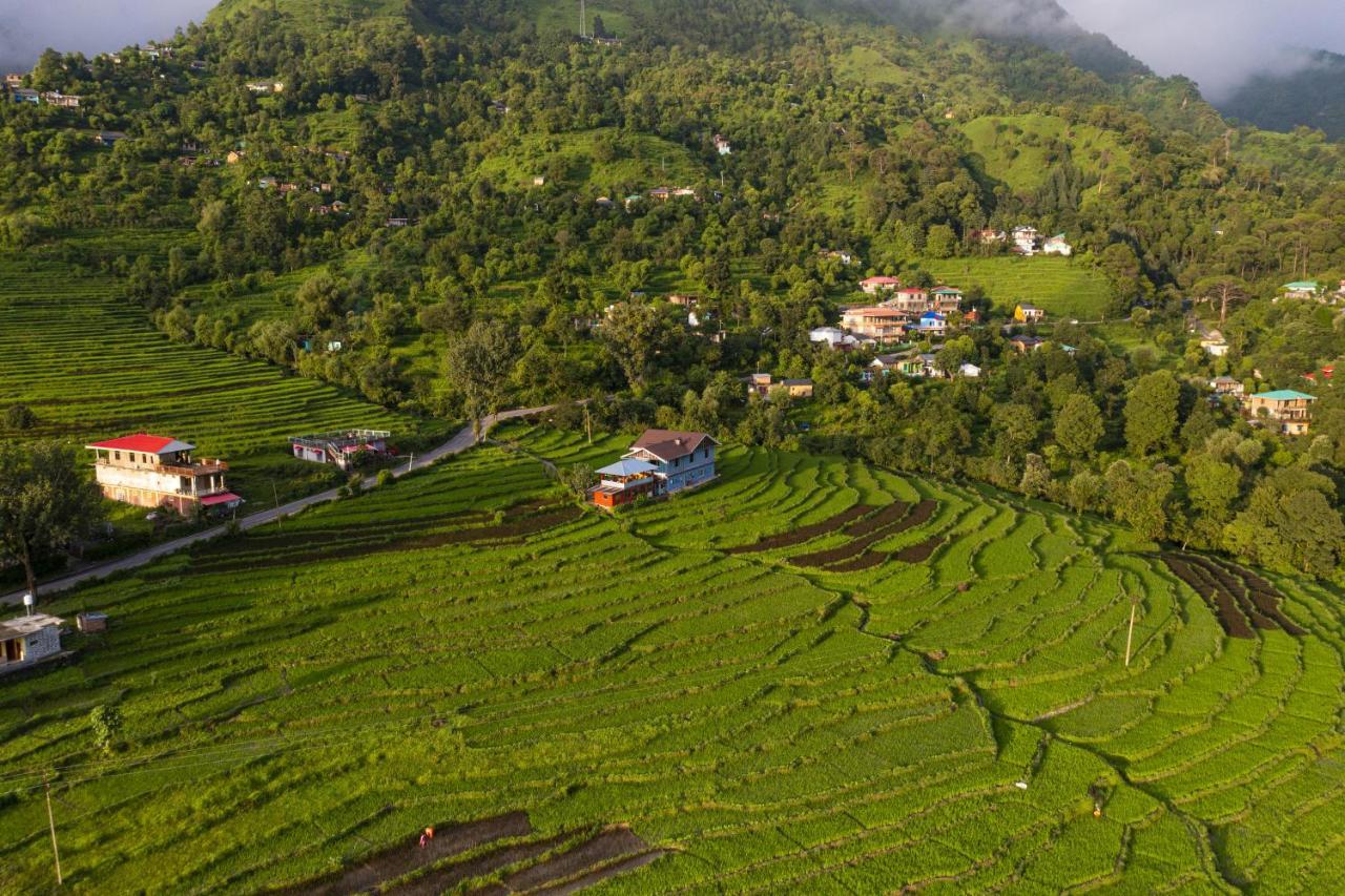Zostel Homes Harabhag, Jogindernagar Homestay Bir (Himachal Pradesh)
