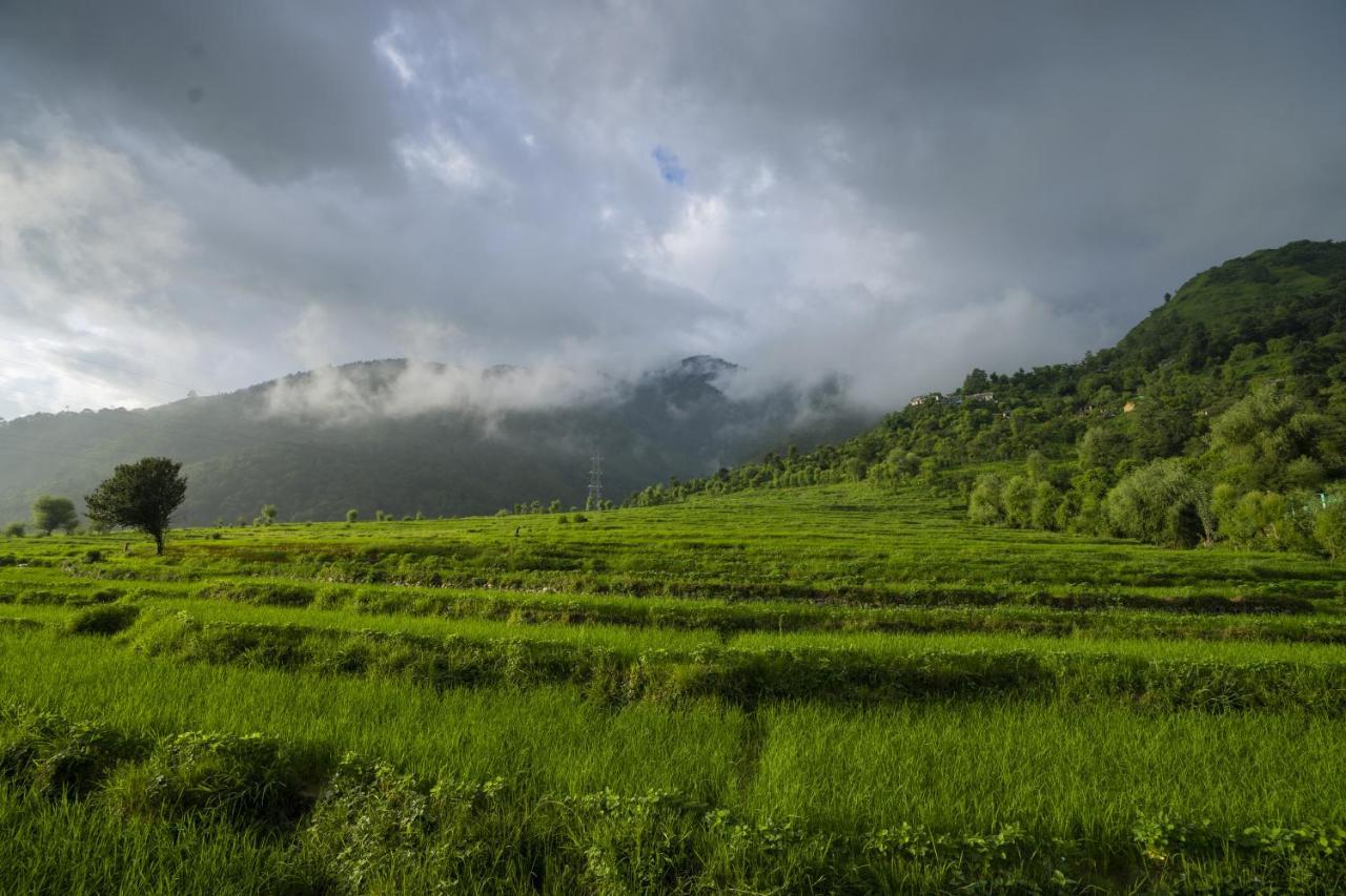 Homestay Zostel Homes Harabhag, Jogindernagar