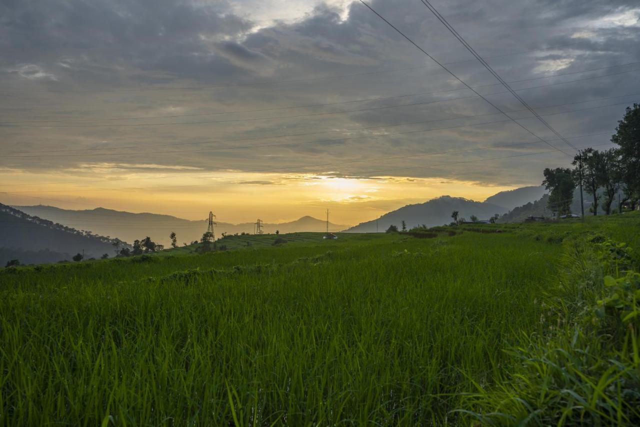 Zostel Homes Harabhag, Jogindernagar Homestay Bir (Himachal Pradesh)