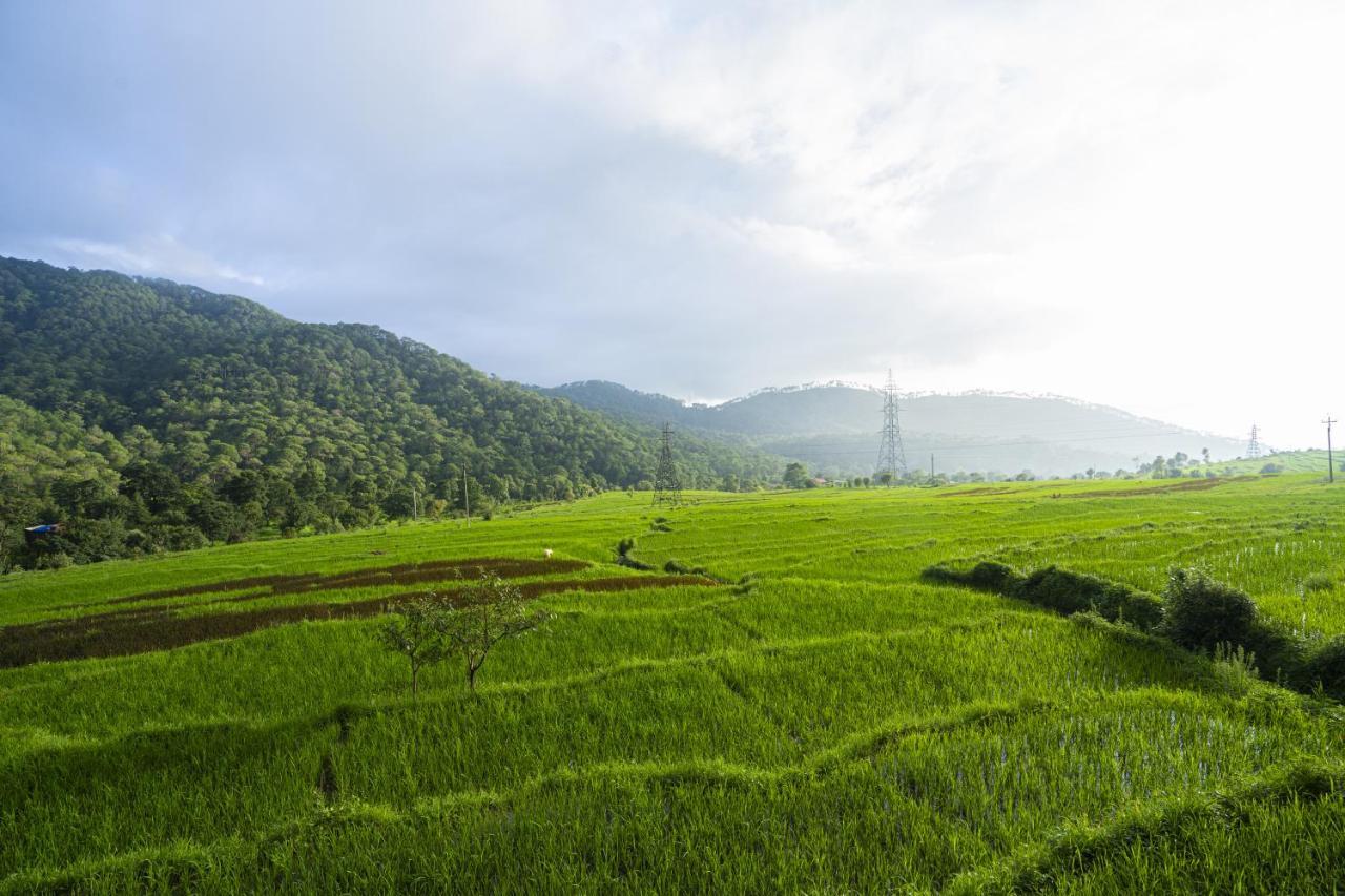 Homestay Zostel Homes Harabhag, Jogindernagar Bir (Himachal Pradesh)